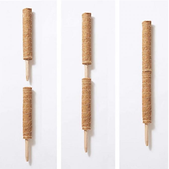 Moss Pole für Pflanzen Monstera, Pflanzen Stützpfähle für Indoor Kletterpflanzen, Monstera Pfähle Coco Coir Pole 0