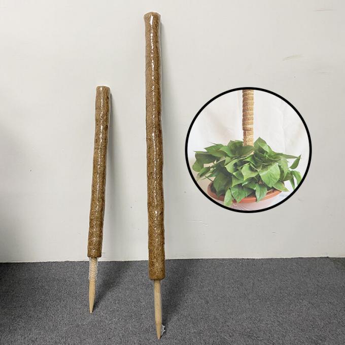 Moss Pole für Pflanzen Monstera, Pflanzen Stützpfähle für Indoor Kletterpflanzen, Monstera Pfähle Coco Coir Pole 2