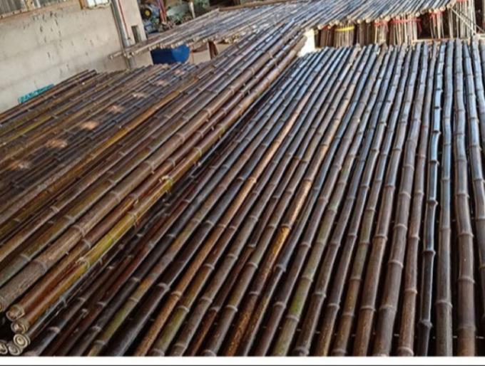 Natürlicher materieller gemalter Bambuszaun-Panels Rolled Bamboo-Bambuszaun Privacy Garden Border 1