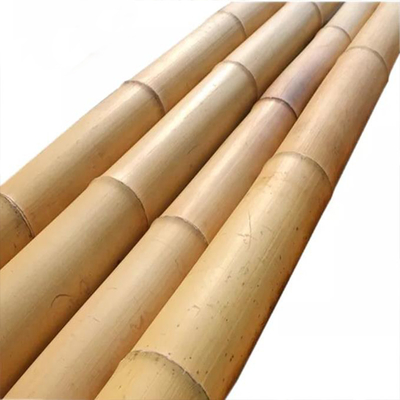 Moso-Bamboo-Stiel zur Dekoration Länge kundenspezifische gerade Bambus-Baum-Pfähle