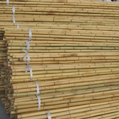 Bambus-Gartenstecke Stäbe Gartenstifte Bambuspflanzenstecke für Bohnen Erbsen Gurken Fruchtpflanzen Bäume