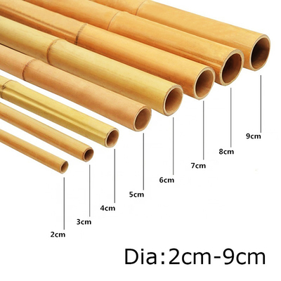 100% natürlicher gelber Bambus-Pole 90cm bis 595cm Betriebsgarten-Stangen