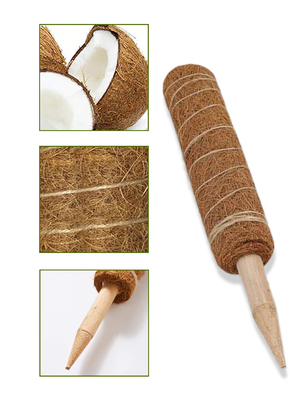 44cm Coir-Moss Totem Pole Kit For-Anlagen, die Betriebskokosnuß Polen klettern und stützen