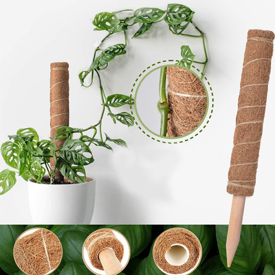 44cm Coir-Moss Totem Pole Kit For-Anlagen, die Betriebskokosnuß Polen klettern und stützen