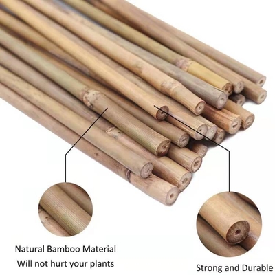 Natürliche Bambusbetriebsstützstangen für Zimmerpflanzen, Bambusstock-Pole-Garten-Bambusstange 40cm 595cm