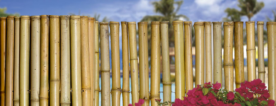 180cm 240cm rollte das Bambusfechten für Garten-Grenzkindertagesstätte
