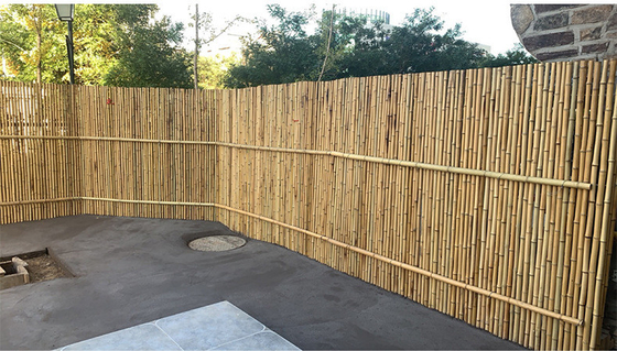 Garten-Zaun Hinterhof-dekorativer Bambuszaun-Tonkin Bamboos 1.5m im Freien