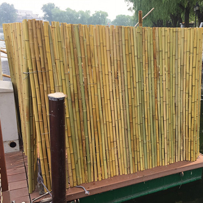 Garten-Zaun Hinterhof-dekorativer Bambuszaun-Tonkin Bamboos 1.5m im Freien