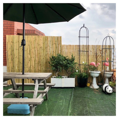 Garten-Zaun Hinterhof-dekorativer Bambuszaun-Tonkin Bamboos 1.5m im Freien