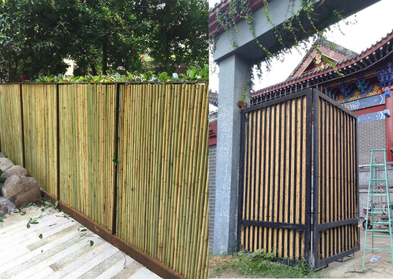 Gerollter Bambushauptschirm, der Hinterhof-Garten-dekorative Bambustäfelung einzäunt