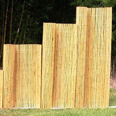 Natürliche Farbe Hausgarten-Kindertagesstätten-dauerhafter Garten-Zaun-Bamboo Roller Panelings
