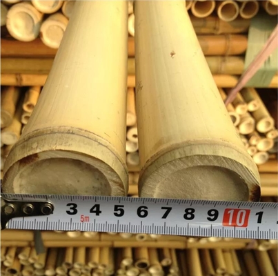 Freundlicher 3 Zoll Eco Moso-Bambus-Pole-Bambusstangen für Betriebsdekorations-Gelb