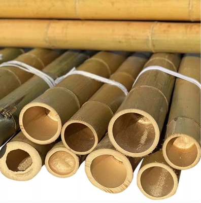 Natürlicher 10 Fuß Moso-Bambus Pole für errichtenden Garten-Bau