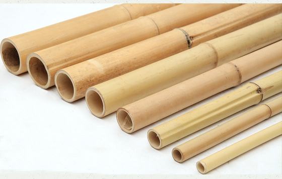100% natürlicher roher 240cm Bambus-Pole, der Deoration 60cm bis 595cm errichtet