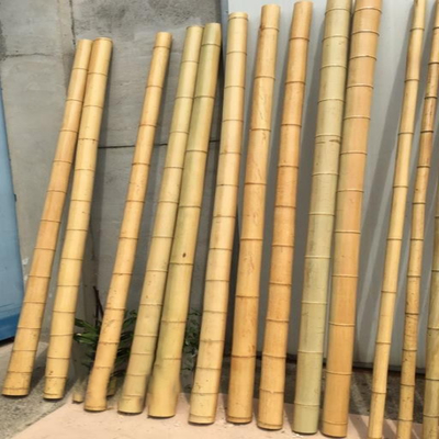 Garten-Möbel-natürliche Bambus-Pole-Stangen gerade für Gartenpflanze-Länge 16cm