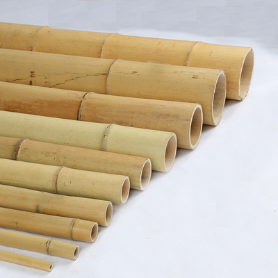 Getrocknete behandelte im Garten arbeitende Bambusstock-Pole-Stock-Stangen 16cm für Bau