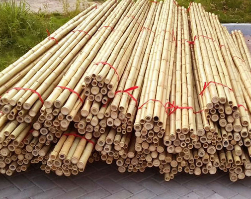 Garten-Möbel-natürliche Bambus-Pole-Stangen gerade für Gartenpflanze-Länge 16cm