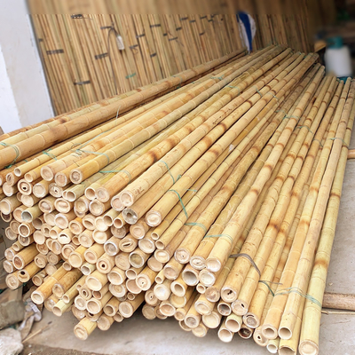 3 Zoll Moso-Bambus-Pole-reine natürliche Bambusstangen für Betriebsdekorations-Gelb