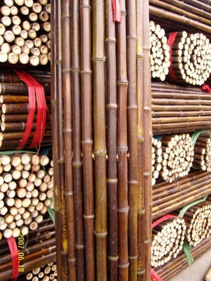 120cm roher Bambus-Pole