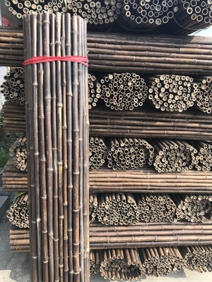 120cm roher Bambus-Pole