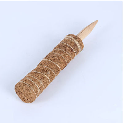 Moss Pole für Kletterpflanzen 30cm 40cm 60cm 90cm Natürliche Kokosnuss Coir Totem Stützpfahl