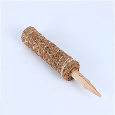 Moss Pole für Kletterpflanzen 30cm 40cm 60cm 90cm Natürliche Kokosnuss Coir Totem Stützpfahl