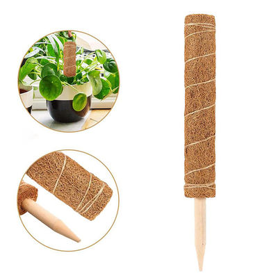 Moss Pole für Kletterpflanzen 30cm 40cm 60cm 90cm Natürliche Kokosnuss Coir Totem Stützpfahl