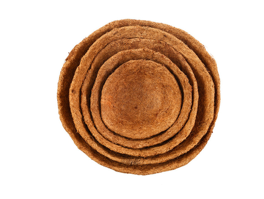 Garten-Dekorations-Metallhängender Pflanzer-Korb mit Coco-Coir-Coco-Zwischenlage