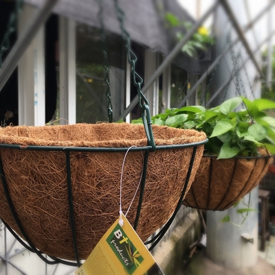 Garten-Dekorations-Metallhängender Pflanzer-Korb mit Coco-Coir-Coco-Zwischenlage