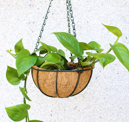 Garten-Dekorations-Metallhängender Pflanzer-Korb mit Coco-Coir-Coco-Zwischenlage