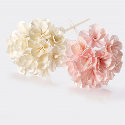 Hauptduft konservierter Reed Diffuse Dried Sola Flower Reed Diffuser mit Baumwolldocht