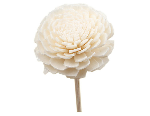 Gerochenes Holz trocknete Sola Flower Reed Diffuser 15cm mit Baumwolldocht für dekoratives
