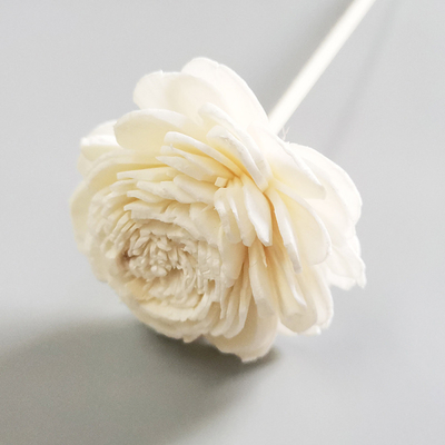 Hauptduft konservierter Reed Diffuse Dried Sola Flower Reed Diffuser mit Baumwolldocht