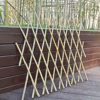 Dehnbarer Bambus-flexibler Gitter-Garten Polen, der für Balkon-Dekoration 120*180cm ficht
