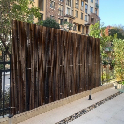 Natürlicher Garten-Bambusholz Reed Fence Painted Panels Rolled 10*100cm