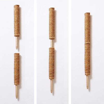 Moss Pole Pflanzenunterstützung Klettern Kokosnussstangen Palmstick Farbpflanze