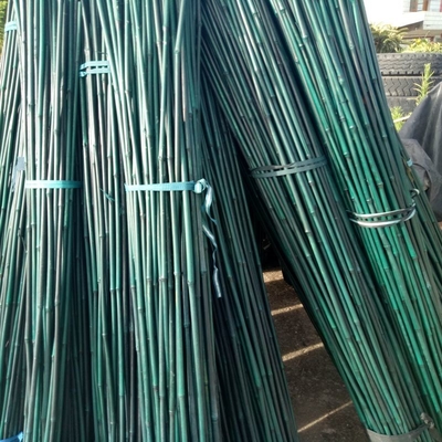 20cm malten grüne Dekoration rohe Bambus-Pole-Stangen-Rod