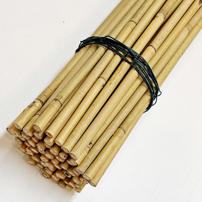 Kundengebundener natürlicher Bambusrohstoff-Bambus bindet 40cm 60cm 90cm Durchmesser Längen-6mm an