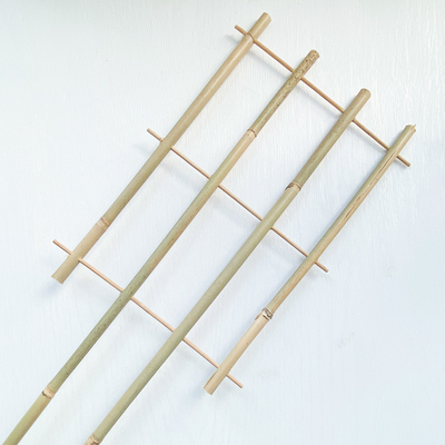 100% Rohstoff-Bambus bindet 6m U Form-Band-handgefertigte Gitter-Stützblume an
