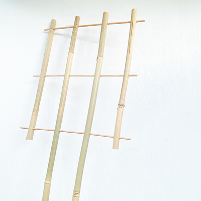 100% Rohstoff-Bambus bindet 6m U Form-Band-handgefertigte Gitter-Stützblume an