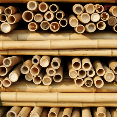 Getrocknete behandelte im Garten arbeitende Bambusstock-Pole-Stock-Stangen 16cm für Bau