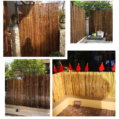 Natürlicher materieller gemalter Bambuszaun-Panels Rolled Bamboo-Bambuszaun Privacy Garden Border