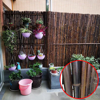 Natürlicher materieller gemalter Bambuszaun-Panels Rolled Bamboo-Bambuszaun Privacy Garden Border