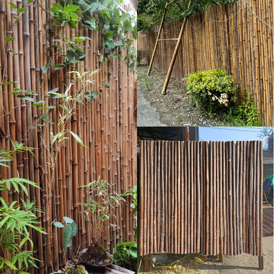 Natürlicher materieller gemalter Bambuszaun-Panels Rolled Bamboo-Bambuszaun Privacy Garden Border
