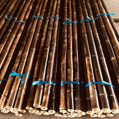 150cm rohes Bambus-Polen Malerei-Grün-rote schwarze dekorative Bambusgarten-Stangen
