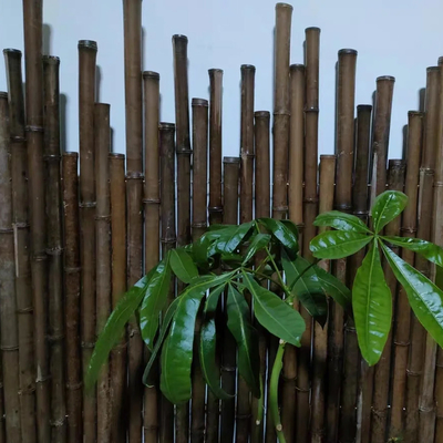 150cm rohes Bambus-Polen Malerei-Grün-rote schwarze dekorative Bambusgarten-Stangen