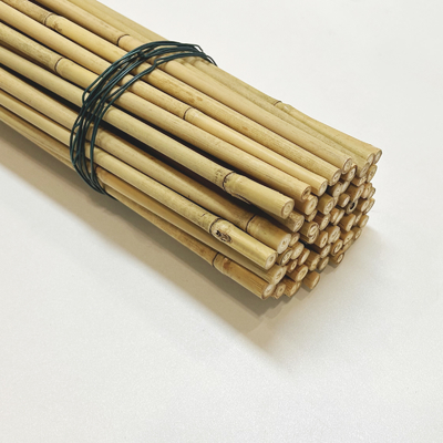 Trockene gerade 60cm bis 595cm große Bambus-Polen natürliche Farbe