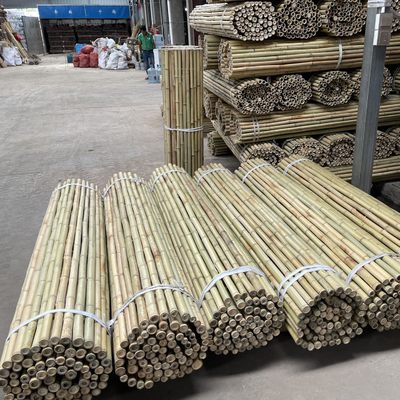 Natürliche Bambusbetriebsstützstangen für Zimmerpflanzen, Bambusstock-Pole-Garten-Bambusstange 40cm 595cm