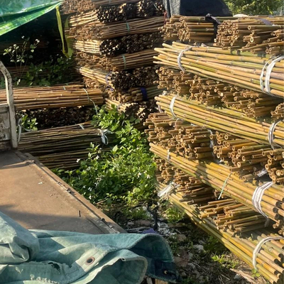 Bau-Garten-Landwirtschafts-Feld-Bambusstock 18mm bis 160mm Durchmesser Moso Bambus-Pole