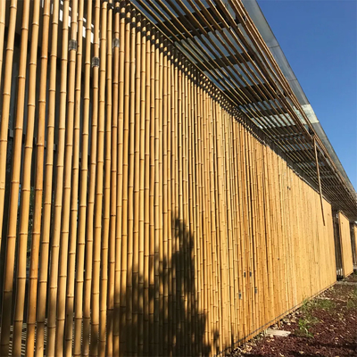 Natürlicher 10 Fuß Moso-Bambus Pole für errichtenden Garten-Bau